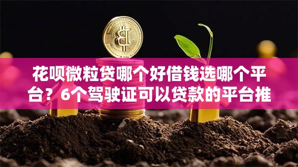 花呗微粒贷哪个好借钱选哪个平台？6个驾驶证可以贷款的平台推荐