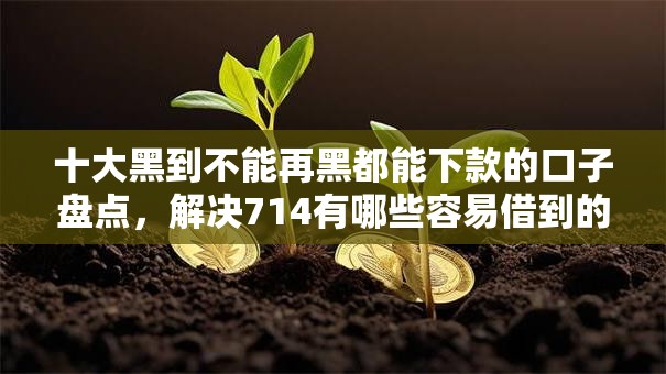 十大黑到不能再黑都能下款的口子盘点，解决714有哪些容易借到的问题