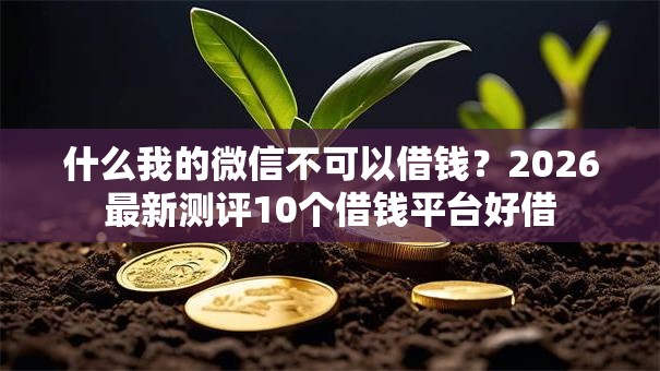 什么我的微信不可以借钱?2026最新测评10个借钱平台好借 什么我的微信不可以借钱?2026最新测评10个借钱平台好借