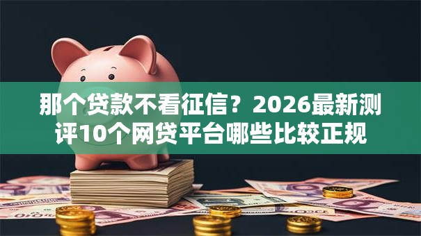 那个贷款不看征信？2026最新测评10个网贷平台哪些比较正规
