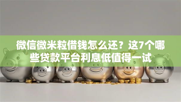 微信微米粒借钱怎么还？这7个哪些贷款平台利息低值得一试
