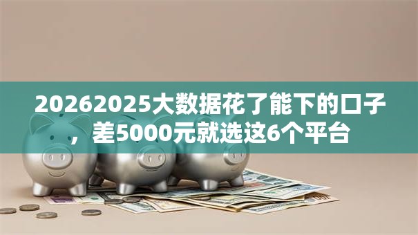 20262025大数据花了能下的口子，差5000元就选这6个平台