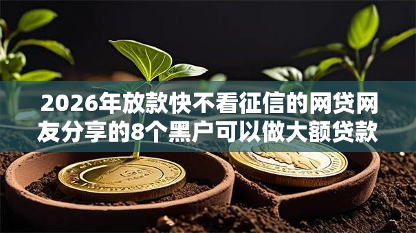 2026年放款快不看征信的网贷网友分享的8个黑户可以做大额贷款口子我觉得不错！