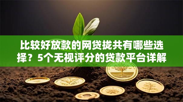 比较好放款的网贷拢共有哪些选择?5个无视评分的贷款平台详解 比较好放款的网贷拢共有哪些选择?5个无视评分的贷款平台详解