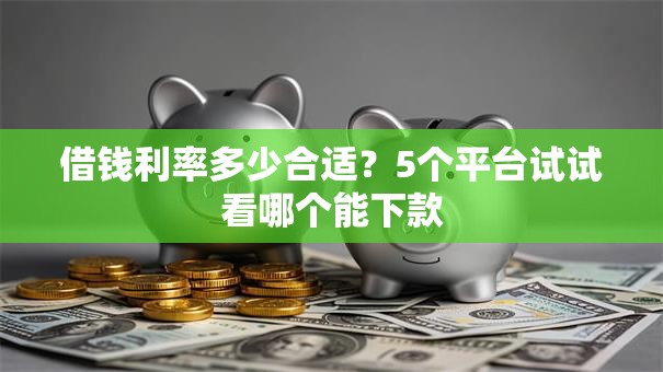 借钱利率多少合适？5个平台试试看哪个能下款