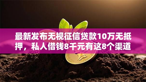 最新发布无视征信贷款10万无抵押,私人借钱8千元有这8个渠道 最新发布无视征信贷款10万无抵押,私人借钱8千元有这8个渠道