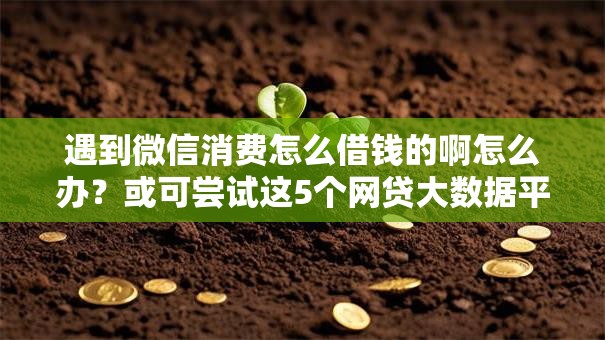 遇到微信消费怎么借钱的啊怎么办？或可尝试这5个网贷大数据平台