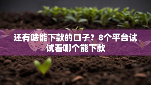 还有啥能下款的口子？8个平台试试看哪个能下款