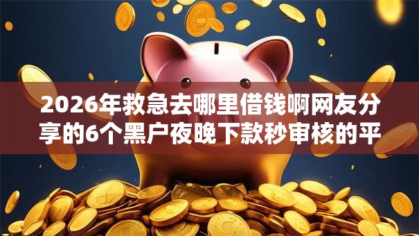 2026年救急去哪里借钱啊网友分享的6个黑户夜晚下款秒审核的平台我觉得不错！