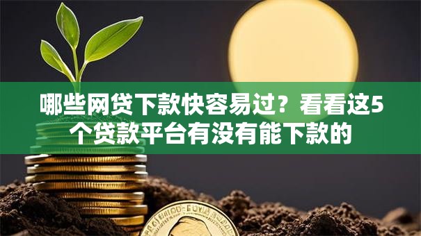 哪些网贷下款快容易过？看看这5个贷款平台有没有能下款的