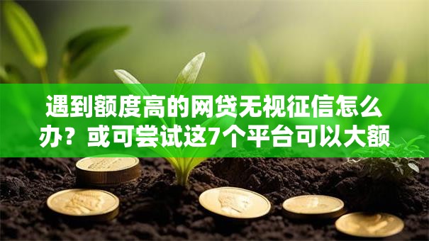 遇到额度高的网贷无视征信怎么办？或可尝试这7个平台可以大额贷款