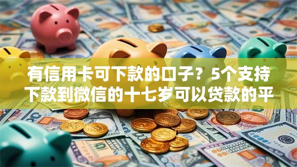 有信用卡可下款的口子？5个支持下款到微信的十七岁可以贷款的平台