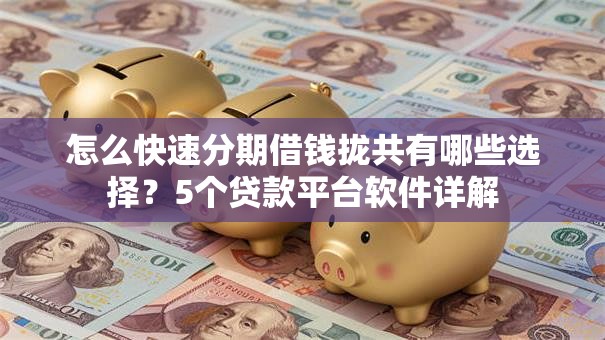怎么快速分期借钱拢共有哪些选择？5个贷款平台软件详解