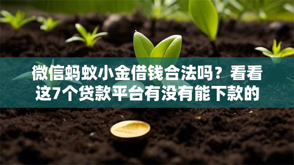 微信蚂蚁小金借钱合法吗？看看这7个贷款平台有没有能下款的