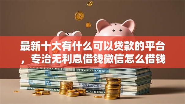 最新十大有什么可以贷款的平台，专治无利息借钱微信怎么借钱
