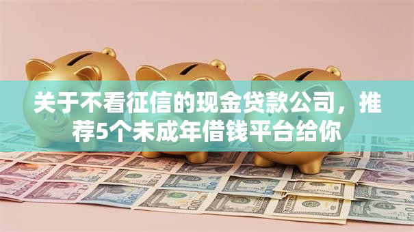 关于不看征信的现金贷款公司,推荐5个未成年借钱平台给你 关于不看征信的现金贷款公司,推荐5个未成年借钱平台给你