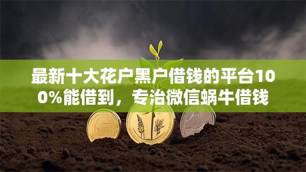 最新十大花户黑户借钱的平台100%能借到，专治微信蜗牛借钱