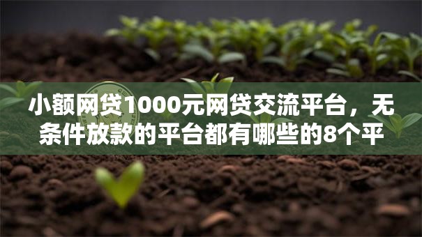 小额网贷1000元网贷交流平台,无条件放款的平台都有哪些的8个平台介绍 小额网贷1000元网贷交流平台,无条件放款的平台都有哪些的8个平台介绍