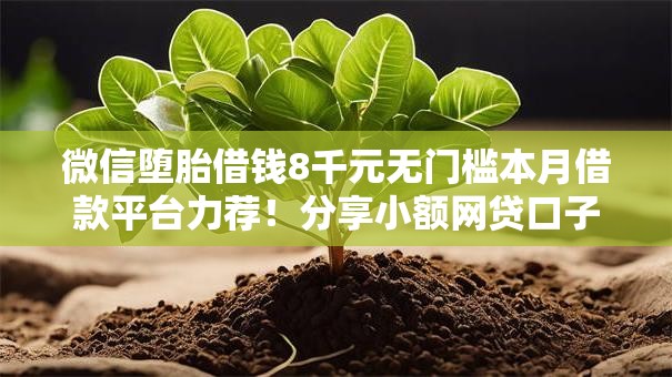微信堕胎借钱8千元无门槛本月借款平台力荐!分享小额网贷口子8千元无门槛借款 微信堕胎借钱8千元无门槛本月借款平台力荐!分享小额网贷口子8千元无门槛借款