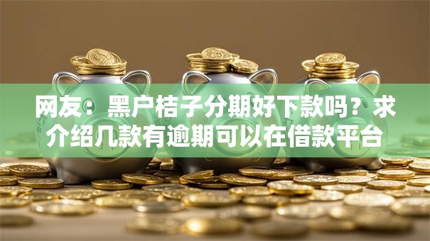 网友：黑户桔子分期好下款吗？求介绍几款有逾期可以在借款平台借钱
