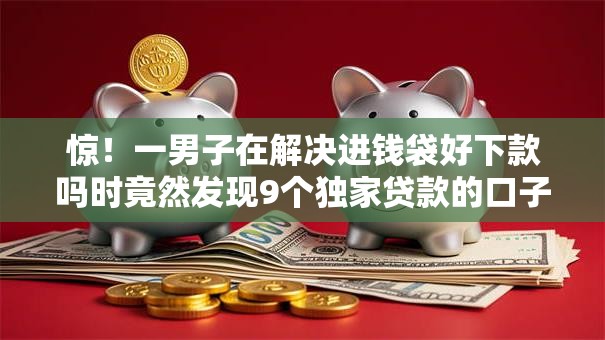 惊！一男子在解决进钱袋好下款吗时竟然发现9个独家贷款的口子，事后分享了出来