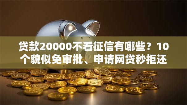 贷款20000不看征信有哪些?10个貌似免审批、申请网贷秒拒还有哪几个平台可以借合集 贷款20000不看征信有哪些?10个貌似免审批、申请网贷秒拒还有哪几个平台可以借合集