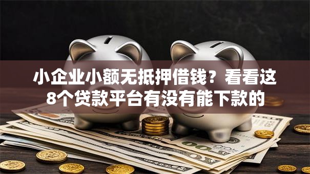 小企业小额无抵押借钱？看看这8个贷款平台有没有能下款的