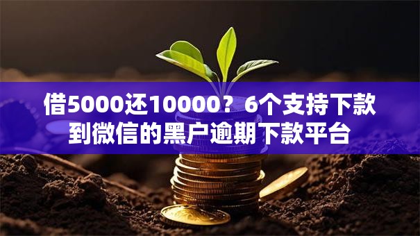 借5000还10000?6个支持下款到微信的黑户逾期下款平台 借5000还10000?6个支持下款到微信的黑户逾期下款平台