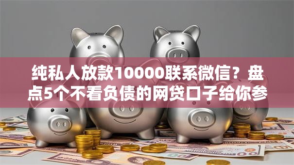 纯私人放款10000联系微信？盘点5个不看负债的网贷口子给你参考