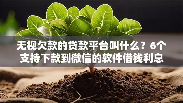 无视欠款的贷款平台叫什么？6个支持下款到微信的软件借钱利息低又安全