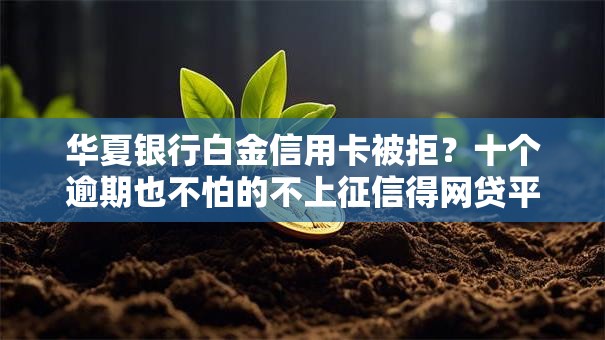 华夏银行白金信用卡被拒？十个逾期也不怕的不上征信得网贷平台下载