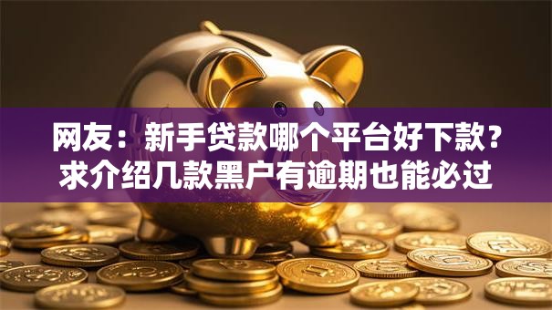 网友：新手贷款哪个平台好下款？求介绍几款黑户有逾期也能必过的口子