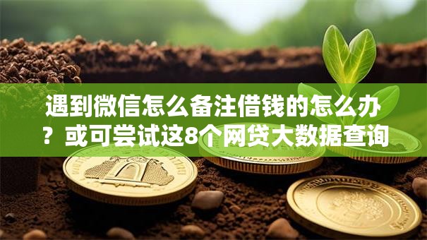 遇到微信怎么备注借钱的怎么办？或可尝试这8个网贷大数据查询平台
