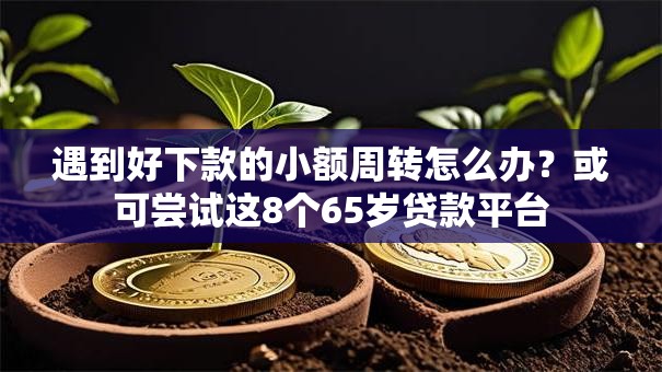 遇到好下款的小额周转怎么办？或可尝试这8个65岁贷款平台