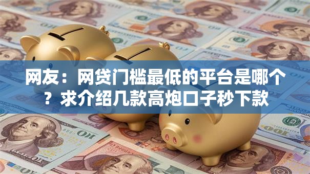 网友：网贷门槛最低的平台是哪个？求介绍几款高炮口子秒下款