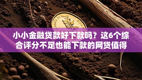 小小金融贷款好下款吗？这6个综合评分不足也能下款的网贷值得一试