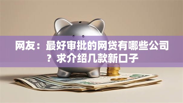 网友：最好审批的网贷有哪些公司？求介绍几款新口子