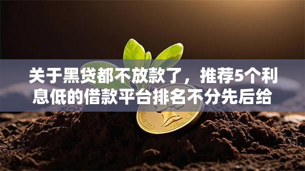 关于黑贷都不放款了，推荐5个利息低的借款平台排名不分先后给你