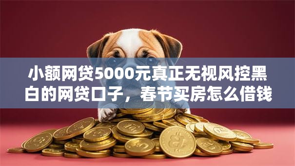 小额网贷5000元真正无视风控黑白的网贷口子，春节买房怎么借钱的6个平台介绍