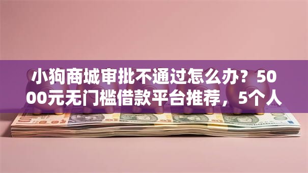 小狗商城审批不通过怎么办？5000元无门槛借款平台推荐，5个人体器官贷款平台盘点