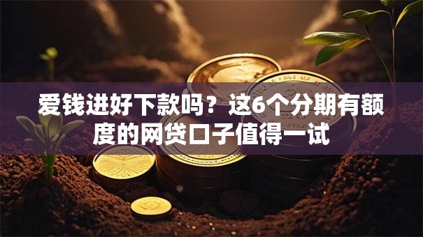 爱钱进好下款吗？这6个分期有额度的网贷口子值得一试