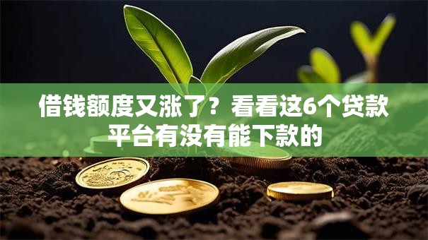 借钱额度又涨了？看看这6个贷款平台有没有能下款的