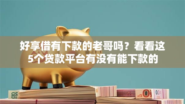 好享借有下款的老哥吗？看看这5个贷款平台有没有能下款的