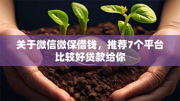 关于微信微保借钱,推荐7个平台比较好贷款给你 关于微信微保借钱,推荐7个平台比较好贷款给你