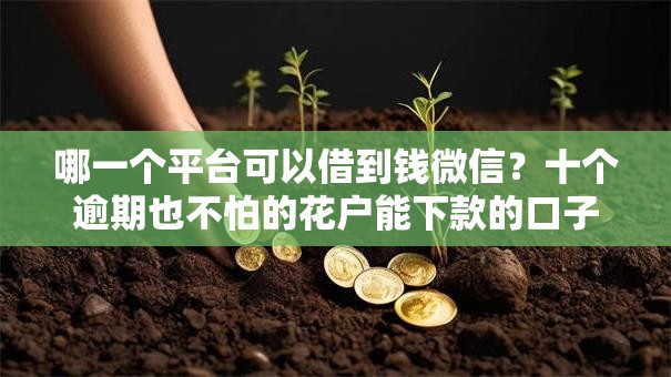哪一个平台可以借到钱微信？十个逾期也不怕的花户能下款的口子