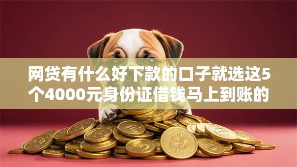 网贷有什么好下款的口子就选这5个4000元身份证借钱马上到账的平台