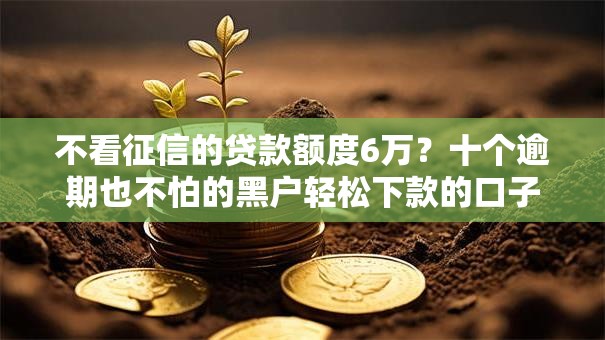 不看征信的贷款额度6万？十个逾期也不怕的黑户轻松下款的口子