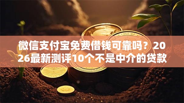 微信支付宝免费借钱可靠吗？2026最新测评10个不是中介的贷款平台