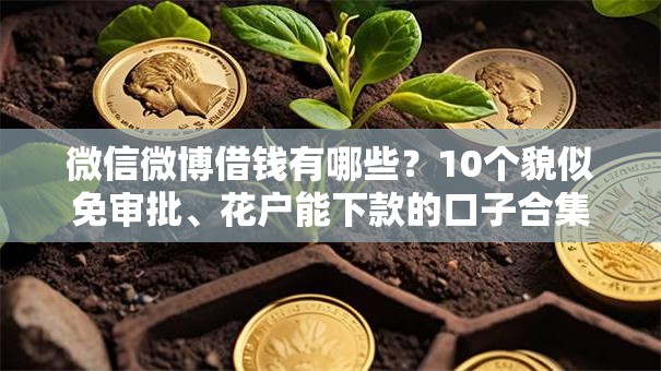 微信微博借钱有哪些？10个貌似免审批、花户能下款的口子合集