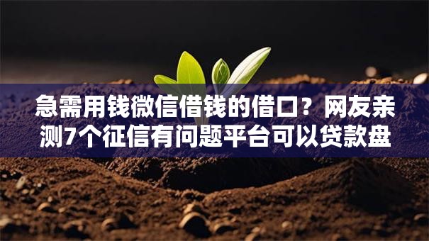急需用钱微信借钱的借口？网友亲测7个征信有问题平台可以贷款盘点